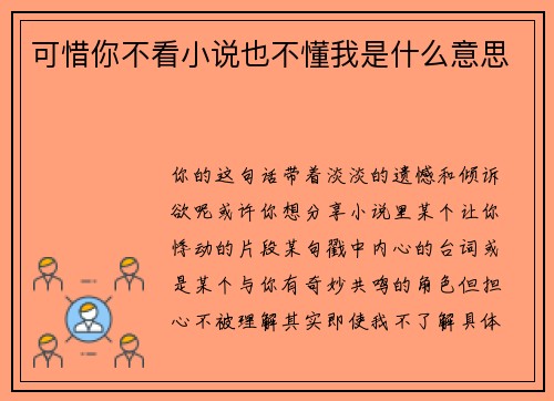 可惜你不看小说也不懂我是什么意思